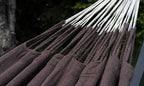 Fringed Hammock | NatureHammock Medellin