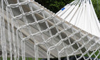 Fringed Hammock | NatureHammock Medellin