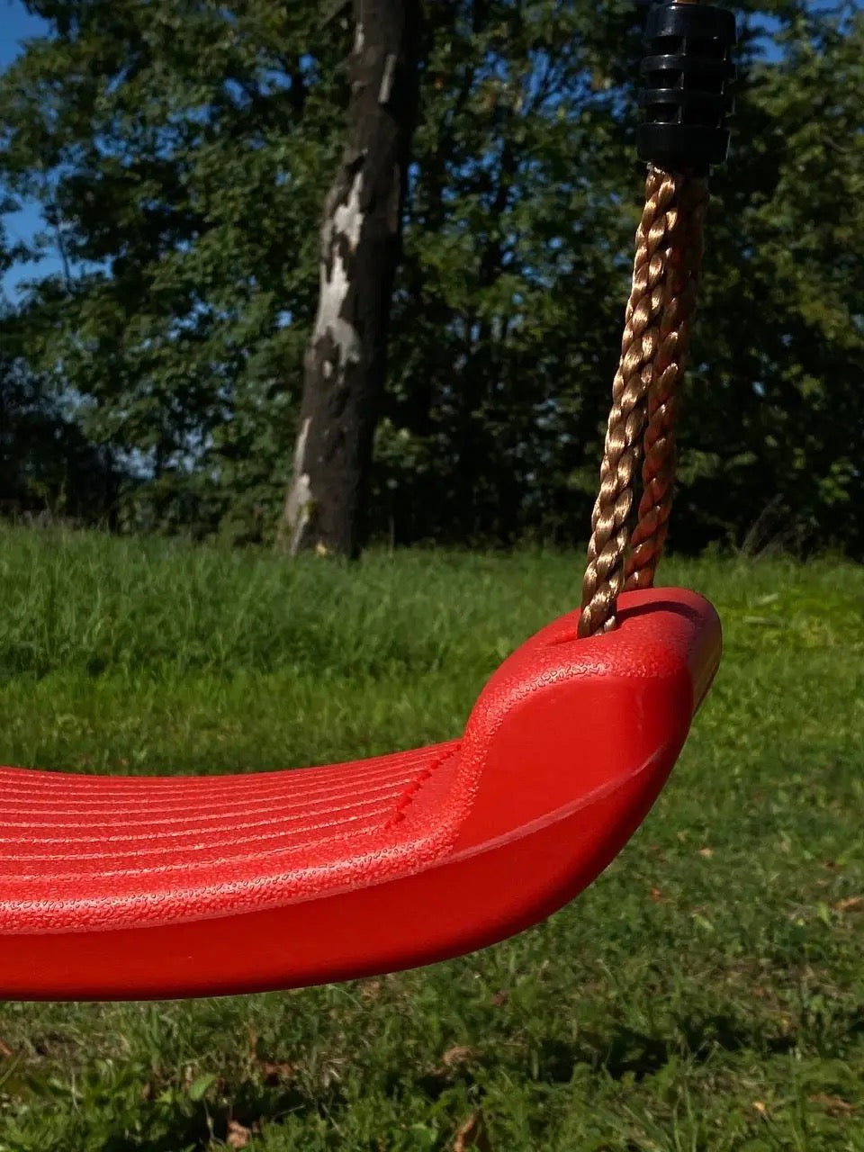 Balançoire de jardin double en graphite + nid de cigogne et balançoire rouge/vert/bleue
